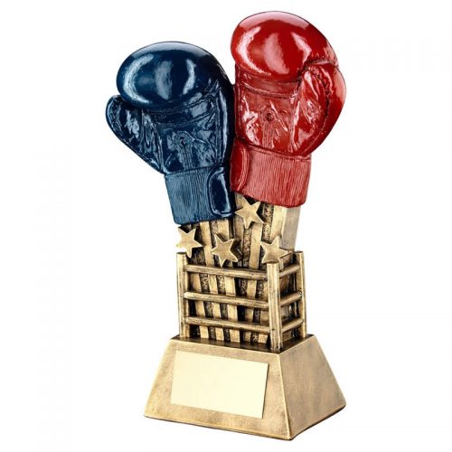 ALL BOXING AWARDS