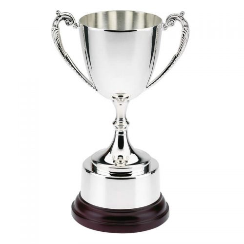 Corporate SILVER PLATED PRESENTATION CUPS