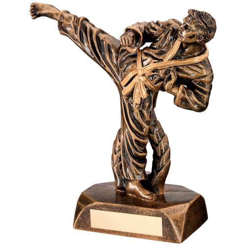 Brz/Gold/Pew Female Martial Arts Figure With Star Backing Trophy 3 sizes free en 
