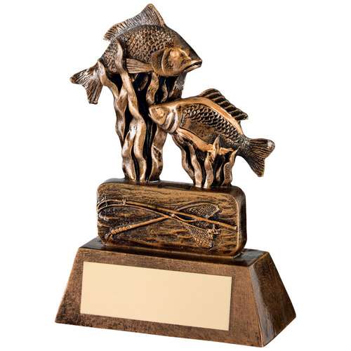 angling trophy bronze award