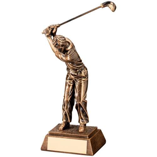 Brz/gold male back swing golf trophy