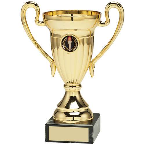 CORPORATE TROPHY CUPS