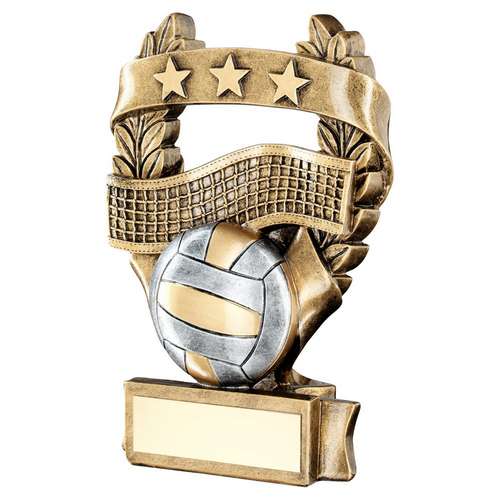 Brz/Pew/Gold Netball 3 Star Wreath Award Trophy 3 sizes free engraving & p&p 