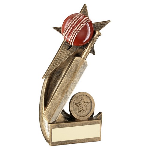 CRICKET BALL AND BAT ON SHOOTING STAR TROPHY
