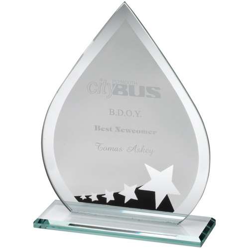 Silver/Black Star Teardrop Glass Award