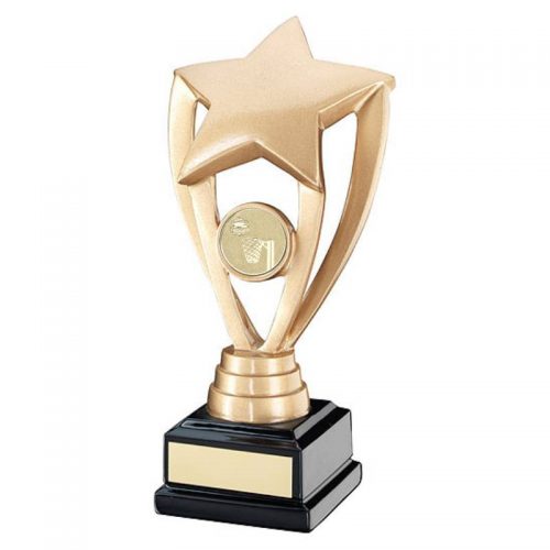Gold Star on Black netball trophy