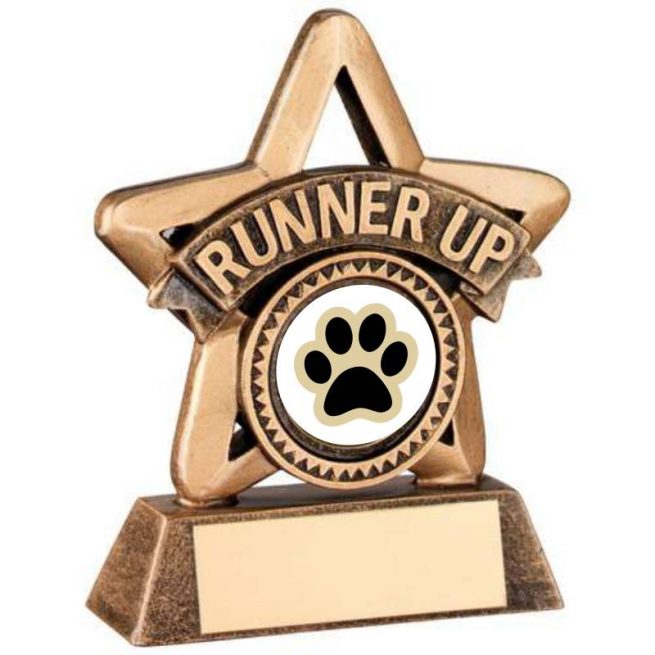 Bronze and Gold Runner Up Dog Star Trophy