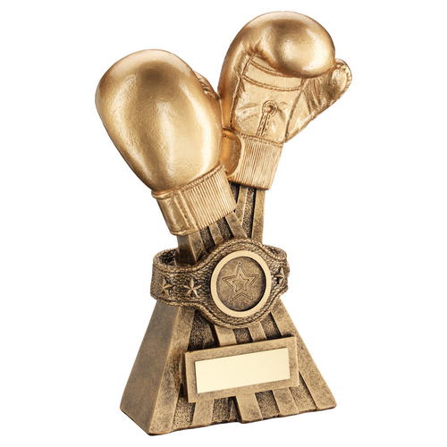 Gold/bronze boxing gloves with belt trophy