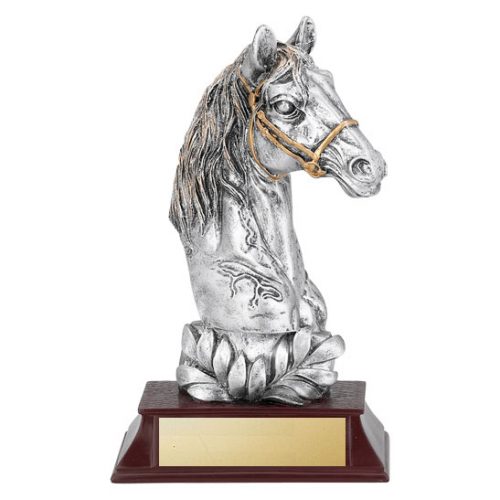 FG35 Equestrian Horse Head Trophy