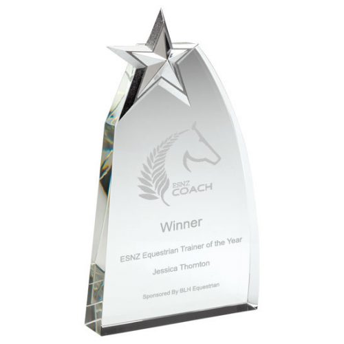 JB1500 - Equestrian Glass Trophy With Metal Star award