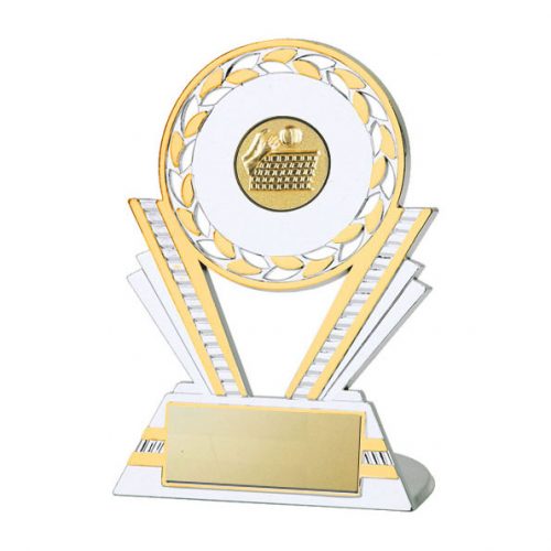 Silver/Gold Plastic Netball trophy