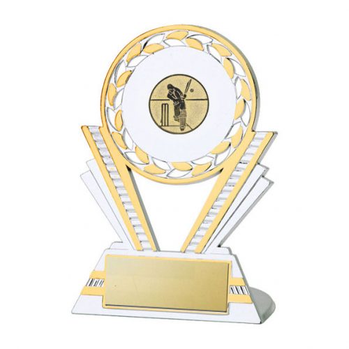 Q130 Cricket Silver/Gold Plastic Trophy
