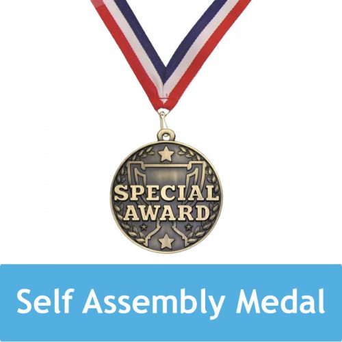 Self Assembly 'Special Award' Medal