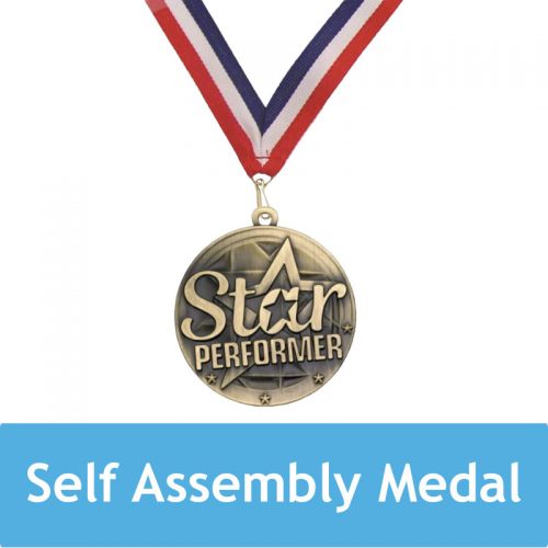 Self Assembly 'Star Performer' Medal