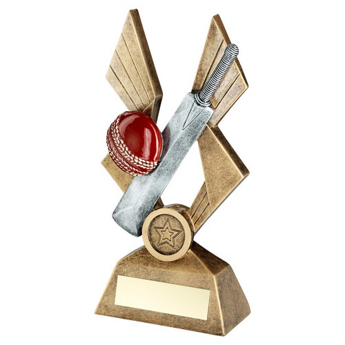 CRICKET BALL & BAT ON POINTED BACKDROP TROPHY