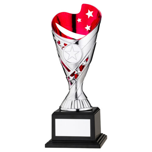 Silver/Red Plastic Star Trophy