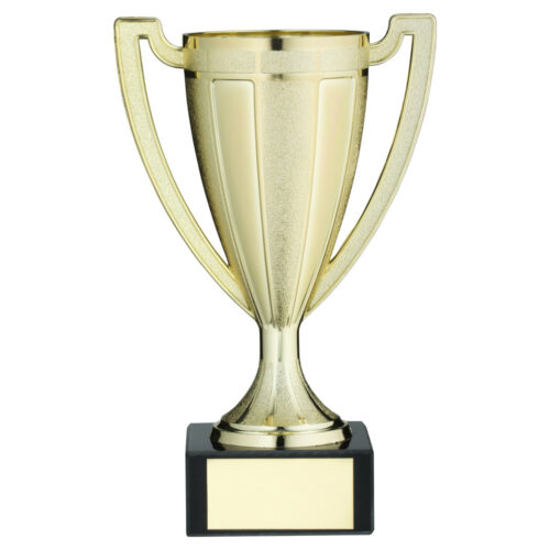 Gold Stippled Trophy Cup on Marble Base