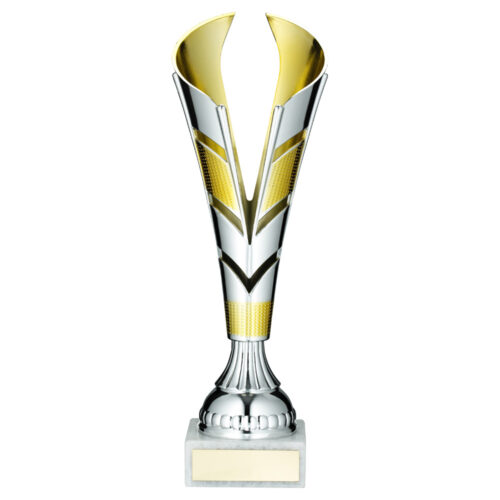 Silver/Gold Tall Plastic Trophy Cup