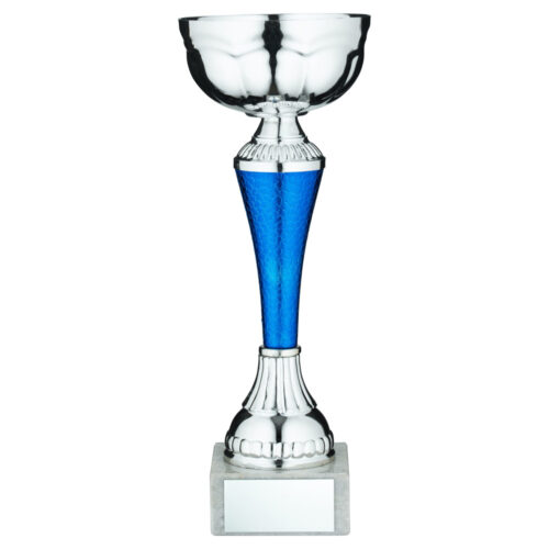 Silver/Blue 'Snakeskin' Trophy Cup