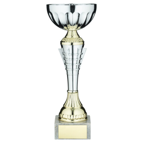Silver/Gold Spiro Trophy Cup