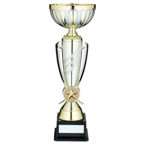 Gold/Matt Silver 3 Stripe Trophy Cup
