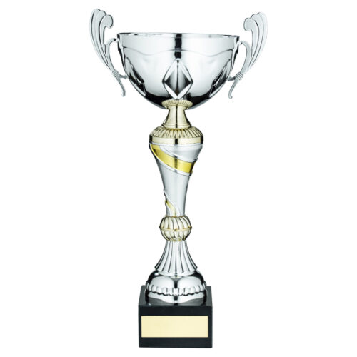 Silver/Gold Trophy Cup with Handles