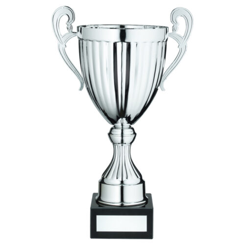 Silver Conical Trophy Cup