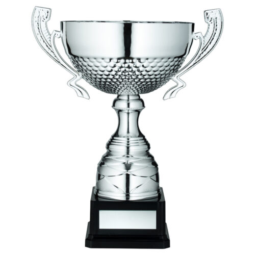 TROPHY CUPS WITH HANDLES