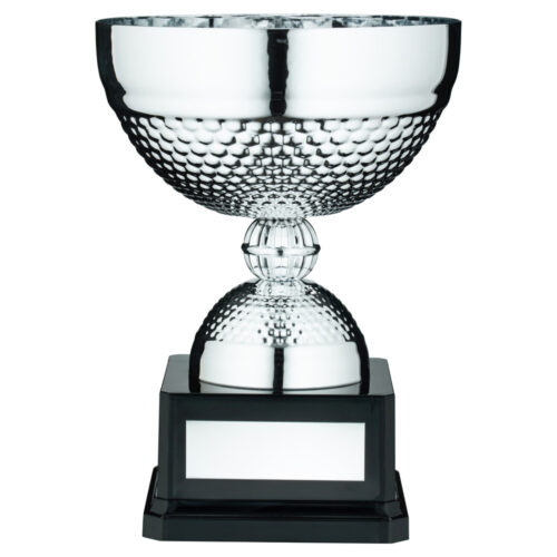 Large Dimple Bowl Trophy Cup