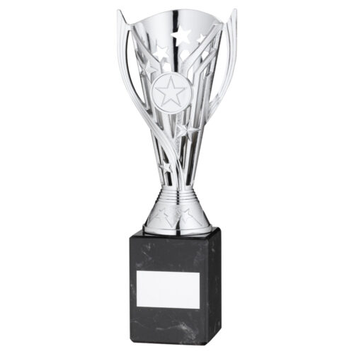 Silver Plastic Cup on Marble Base Trophy