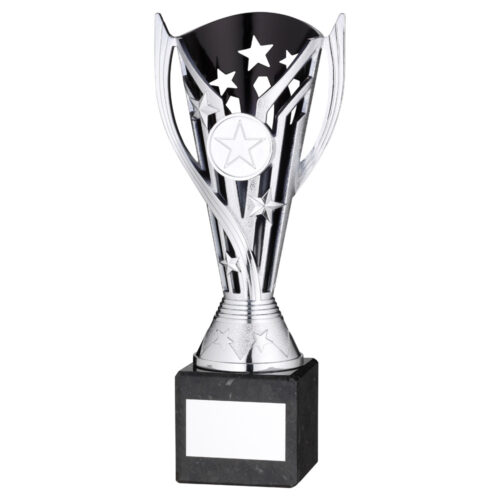 Silver/Black Plastic Cup on Marble Base Trophy