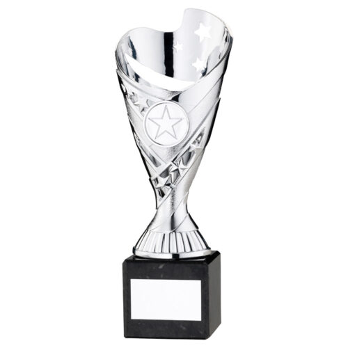 Silver Plastic Trophy on Marble Base