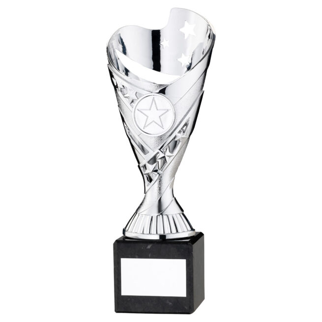 Silver Plastic Trophy on Marble Base