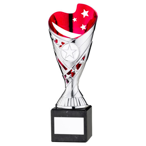 Silver/Red Plastic Trophy on Marble Base