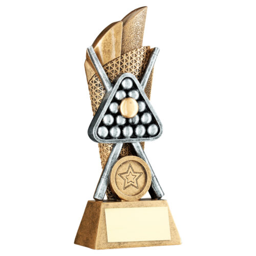 Snooker/Pool Cues & Ball on Mesh Backdrop Trophy