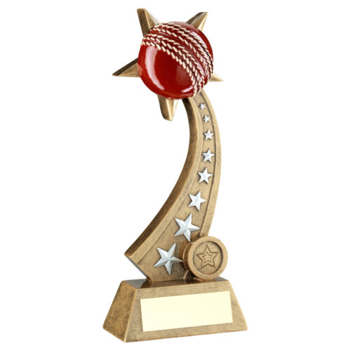 Cricket Ball on Star Trail Trophy