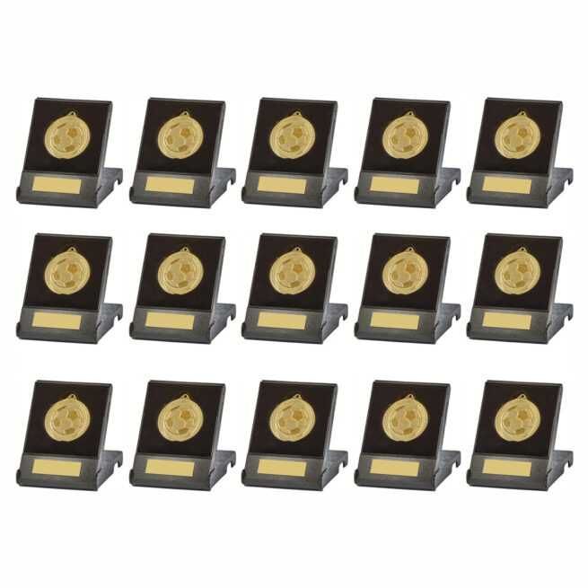 Football Squad Bundle - 15 Boxed Medals