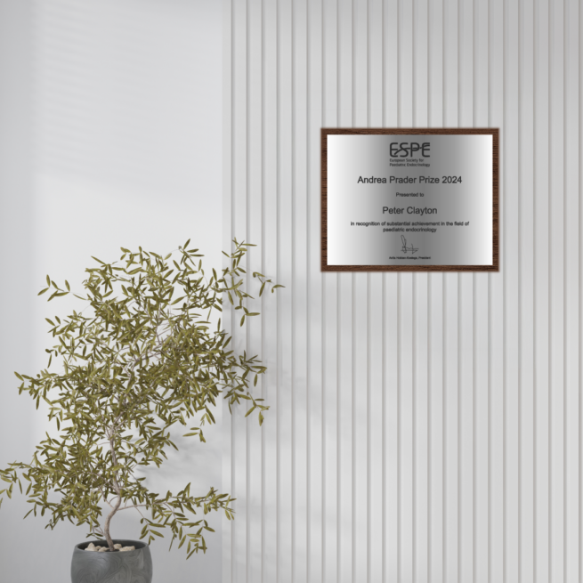 Wall Mounted Silver Plaque with Wooden Backing on Wall