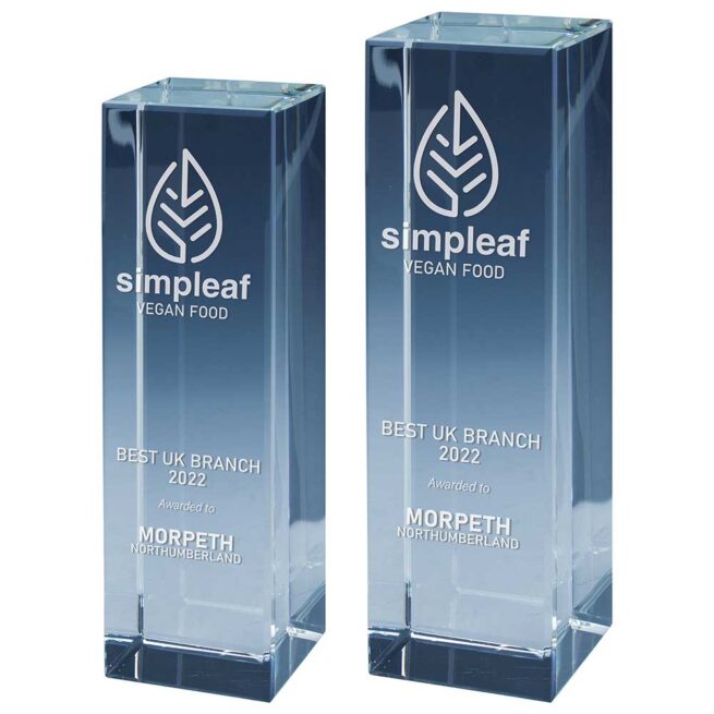 Glass Block Award - Image 2