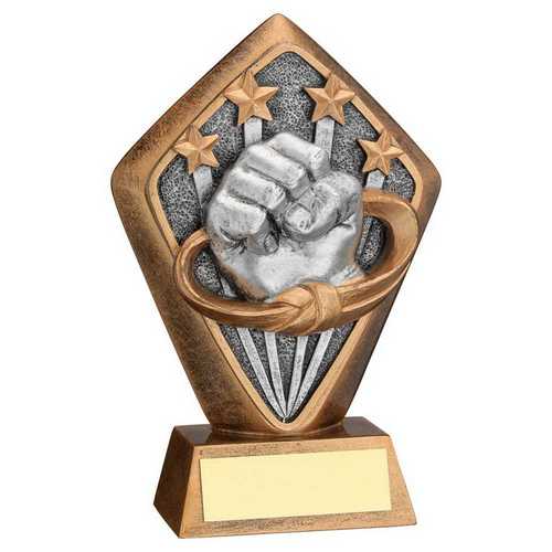 Diamond Martial Arts Trophy