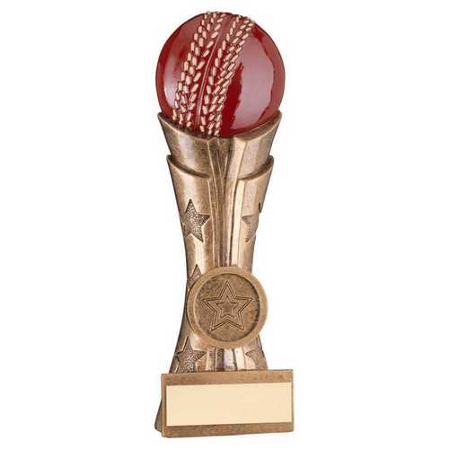 Flat backed Cricket Column Trophy