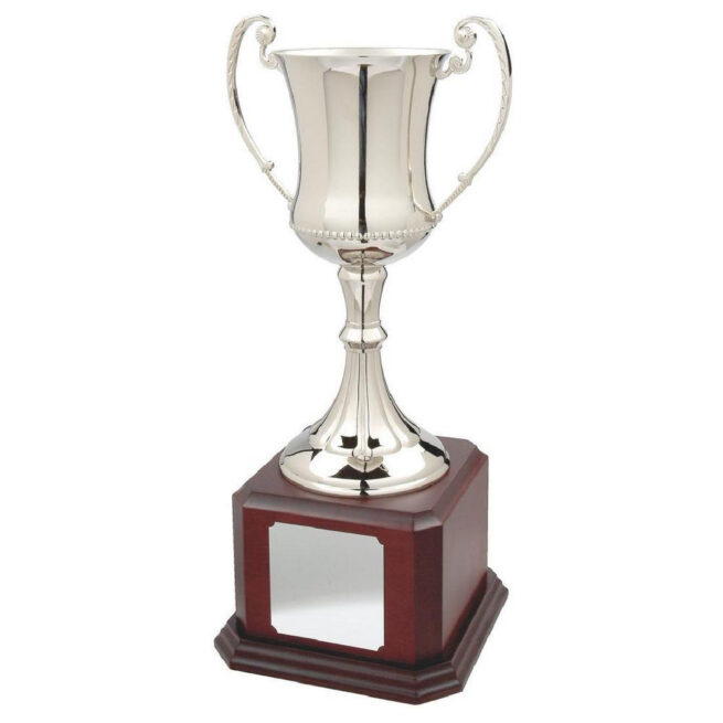 Silver Nickel Plated Cup on Wooden Base