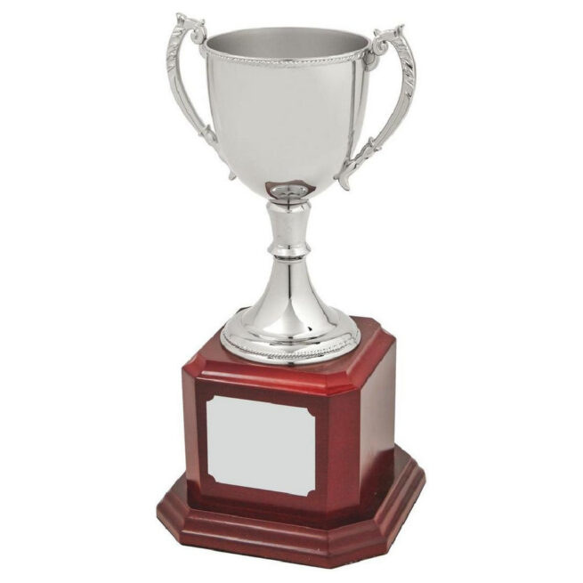 Nickel Plated Cup on Wooden Base