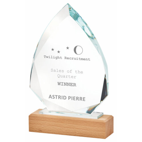 Spear Shaped Glass Award on Wooden Base