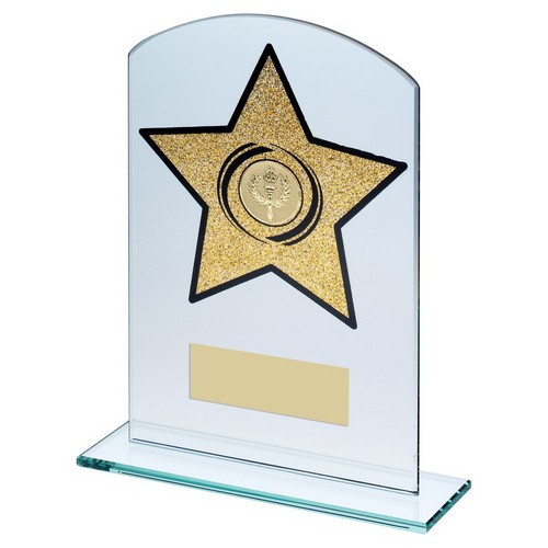 Gold Star Glitter Rectangle Glass Award