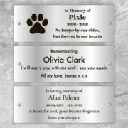 Silver Plaque Example