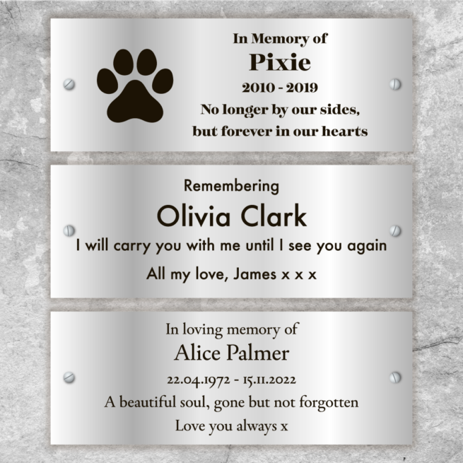 Silver Plaque Example