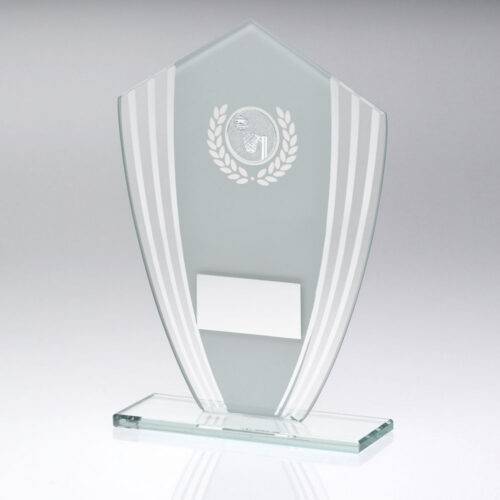 Netball Glass Shield Trophy with Silver Edges
