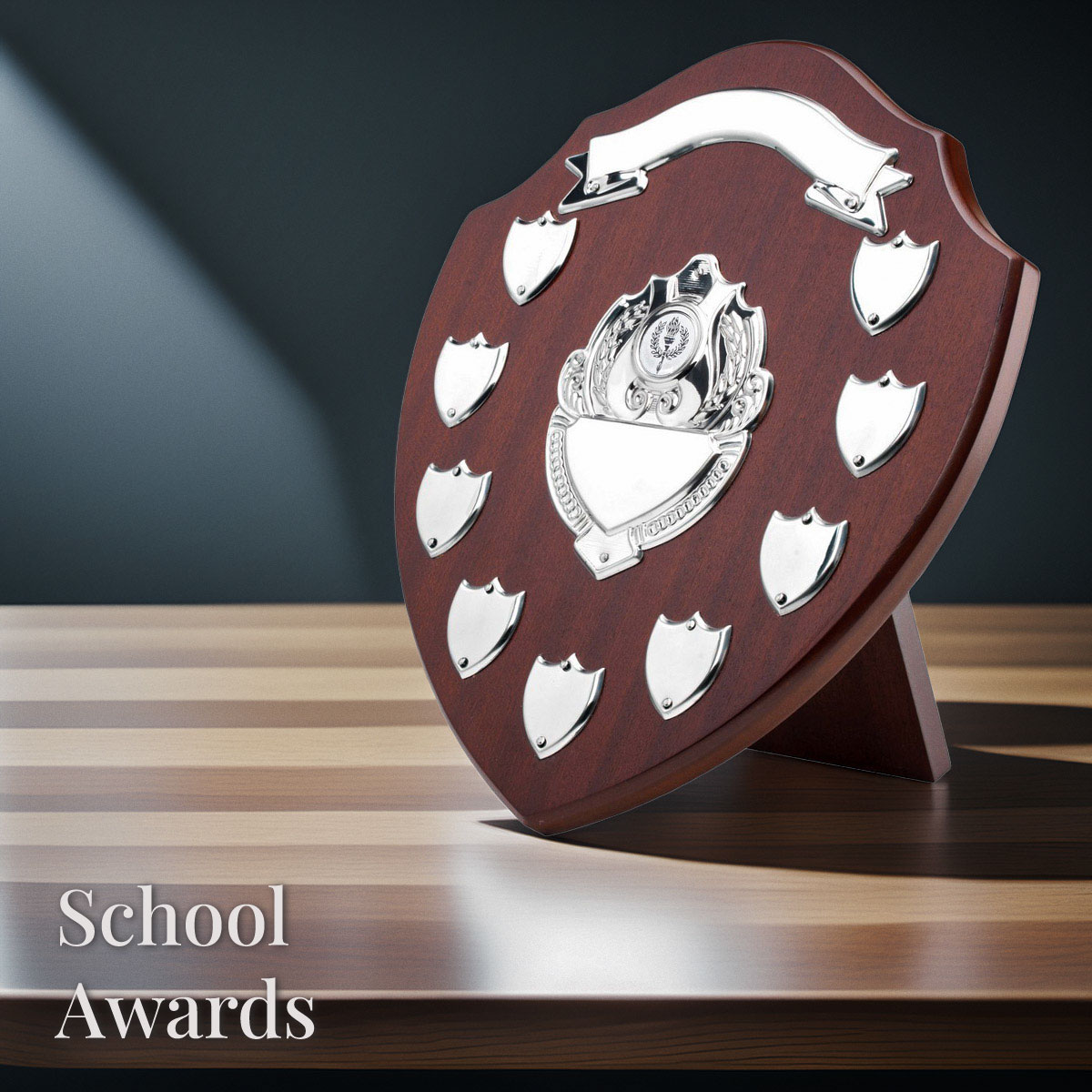 School Awards Trophies and Cups