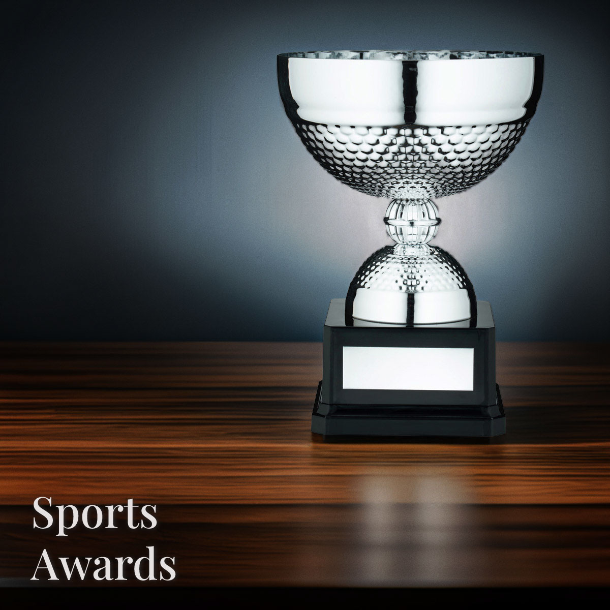 Sports Trophies Medals and Awards